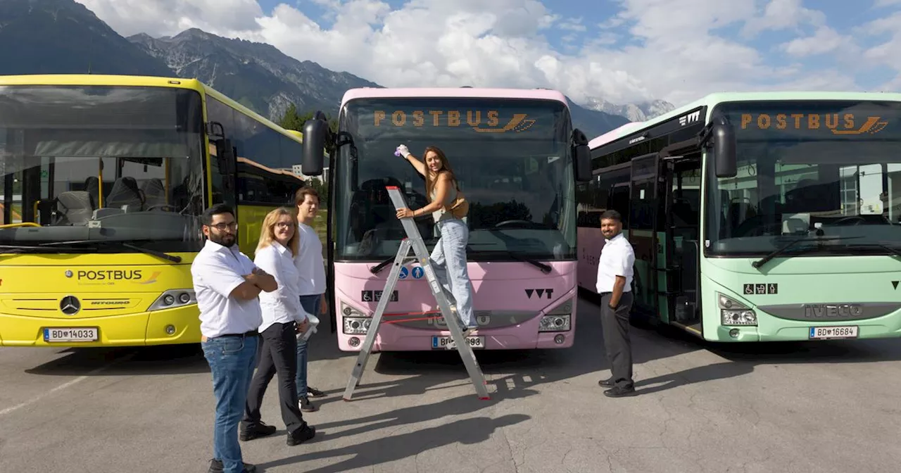 Wissen durch die Busscheibe: Uni Innsbruck untersucht Insektenvielfalt auf Postbussen