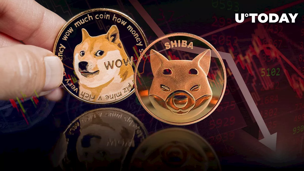 Shiba Inu (SHIB) and Dogecoin (DOGE) Among Top Crypto Laggards as Market Sees Severe Downturn