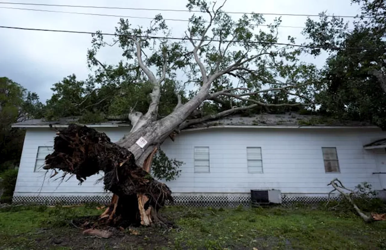 U S News Some Power Restored In Houston After Hurricane Beryl While   Some Power Restored In Houston After Hurricane Ber Some Power Restored In Houston After Hurricane Ber 278AEABB251A061CF1C36FE8F12DBB8B.webp