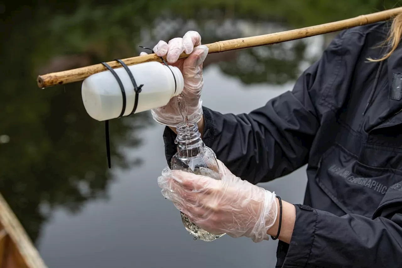 What’s the point of Yorkshire Water paying £1m to Yorkshire Wildlife Trust and Yorkshire Dales Rivers Trust?