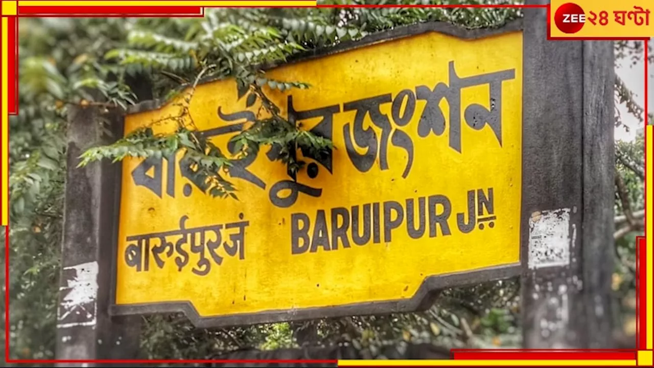 Baruipara: বেগমপুরে জঙ্গলের মধ্যে পচাগলা দেহ উদ্ধার, ঘটনার তদন্তে বারুইপুর থানার পুলিস...