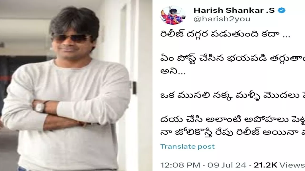 Harish Shankar: ట్రోల్స్ కి పంచ్ ఇచ్చిన హరీష్ శంకర్.. కానీ ఎవరికి!