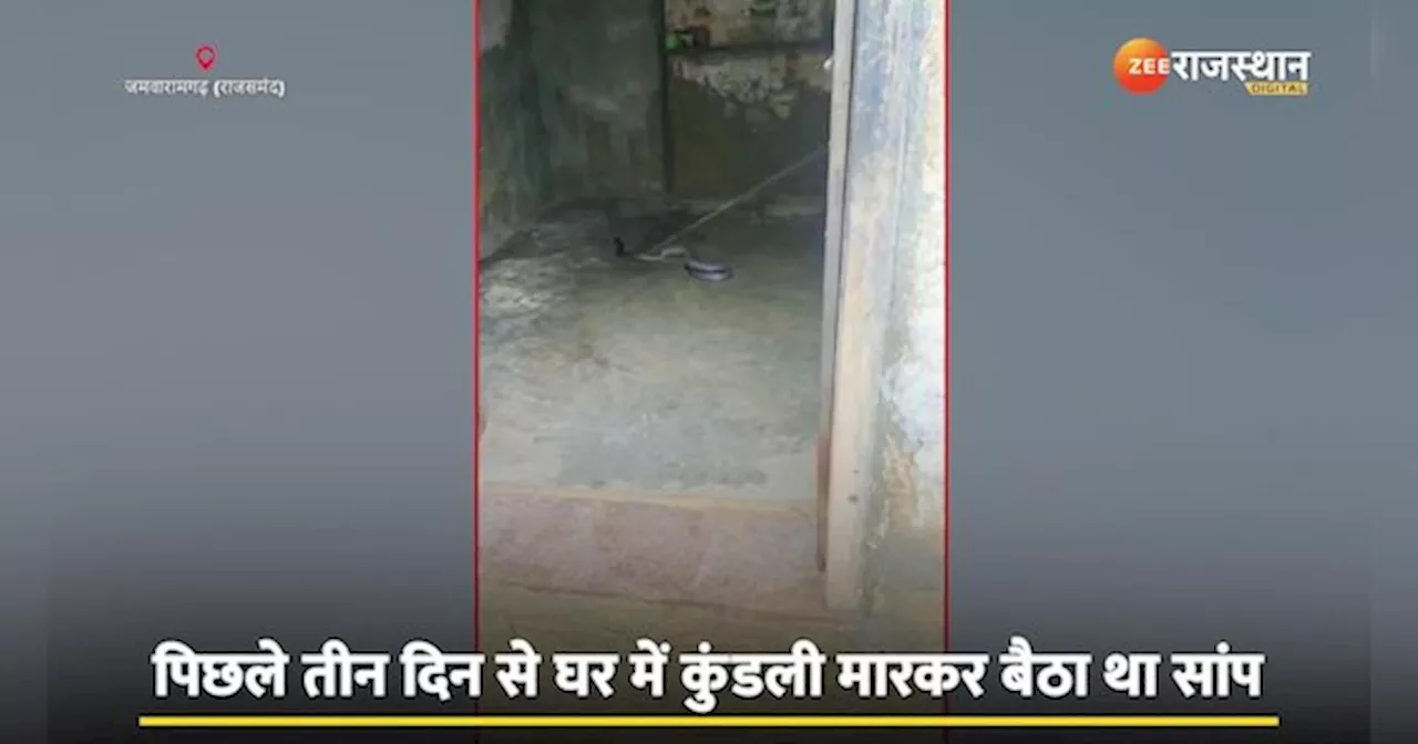 Rajsamand Snake Video: तीन दिनों से घर में कुंडली मार बैठा था कोबरा, रेस्क्यू करने में कांपे हाथ!