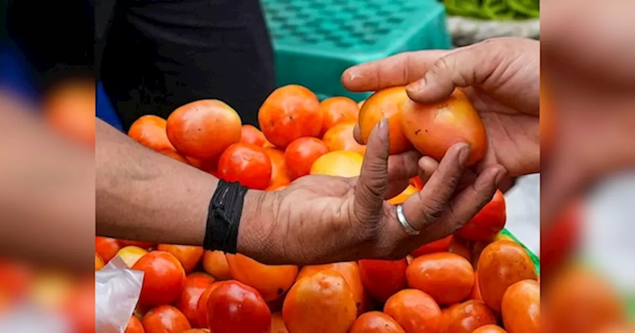 Tomato Price: तेजी से बढ़ा टमाटर का रेट, 100 रुपये क‍िलो पर पहुंचा दाम; जान‍िए कब तक होगा सस्‍ता?