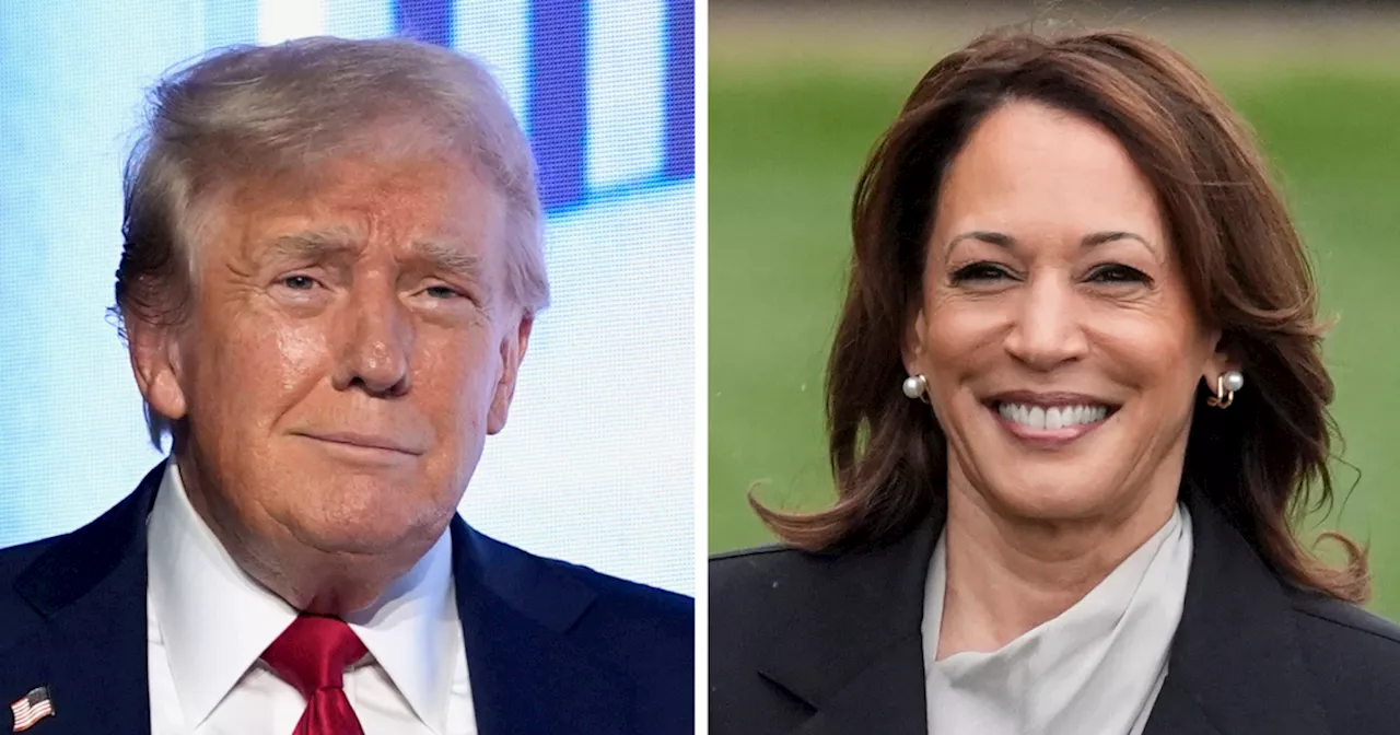 POLL: San Diego County voters prefer Kamala Harris to Donald Trump