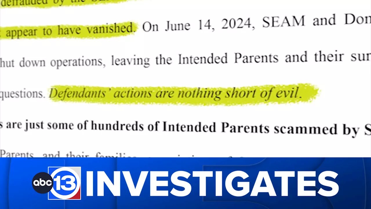 From hope to heartbreak: 13 Investigates tries to confront woman at center of alleged surrogacy scam