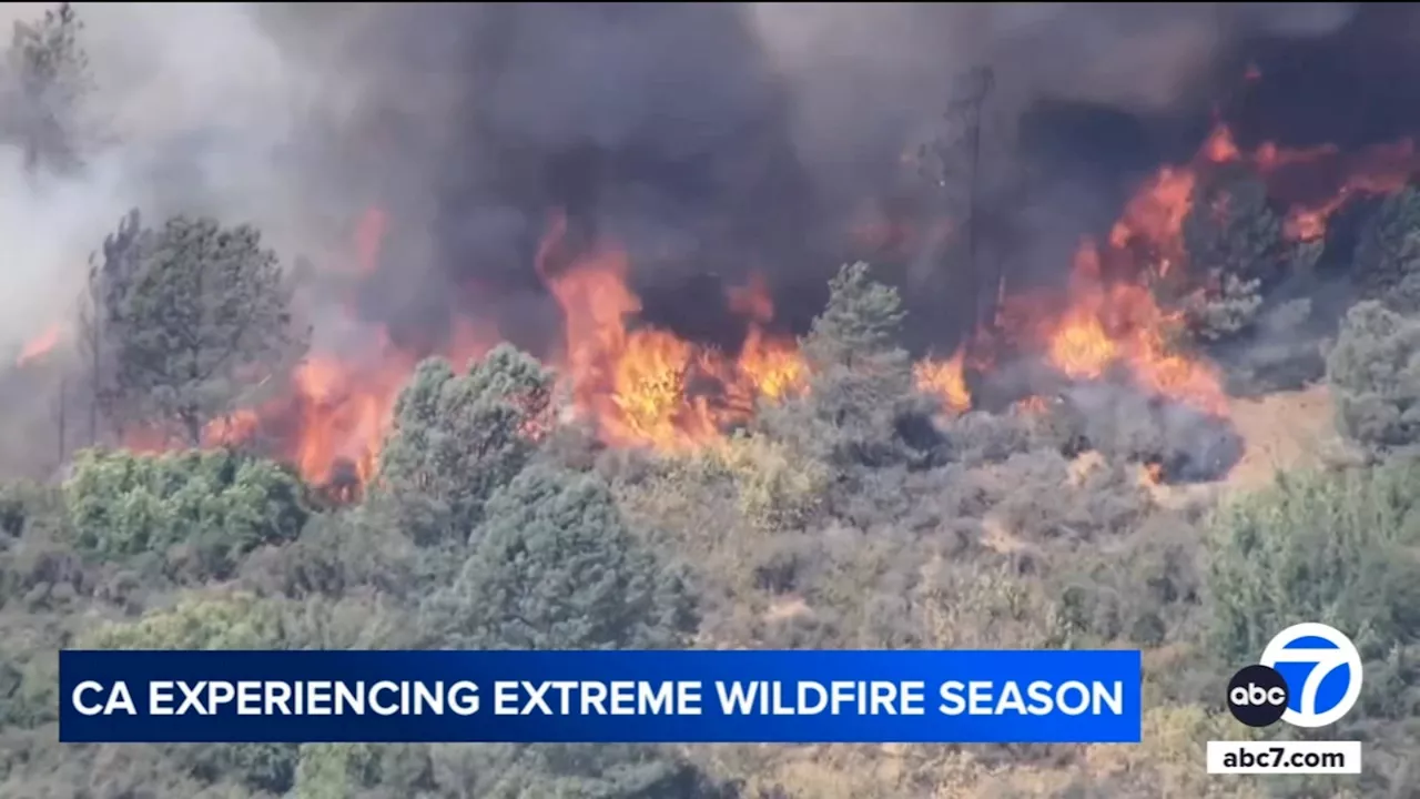 New data shows drastic increase in acreage burned across California this fire season