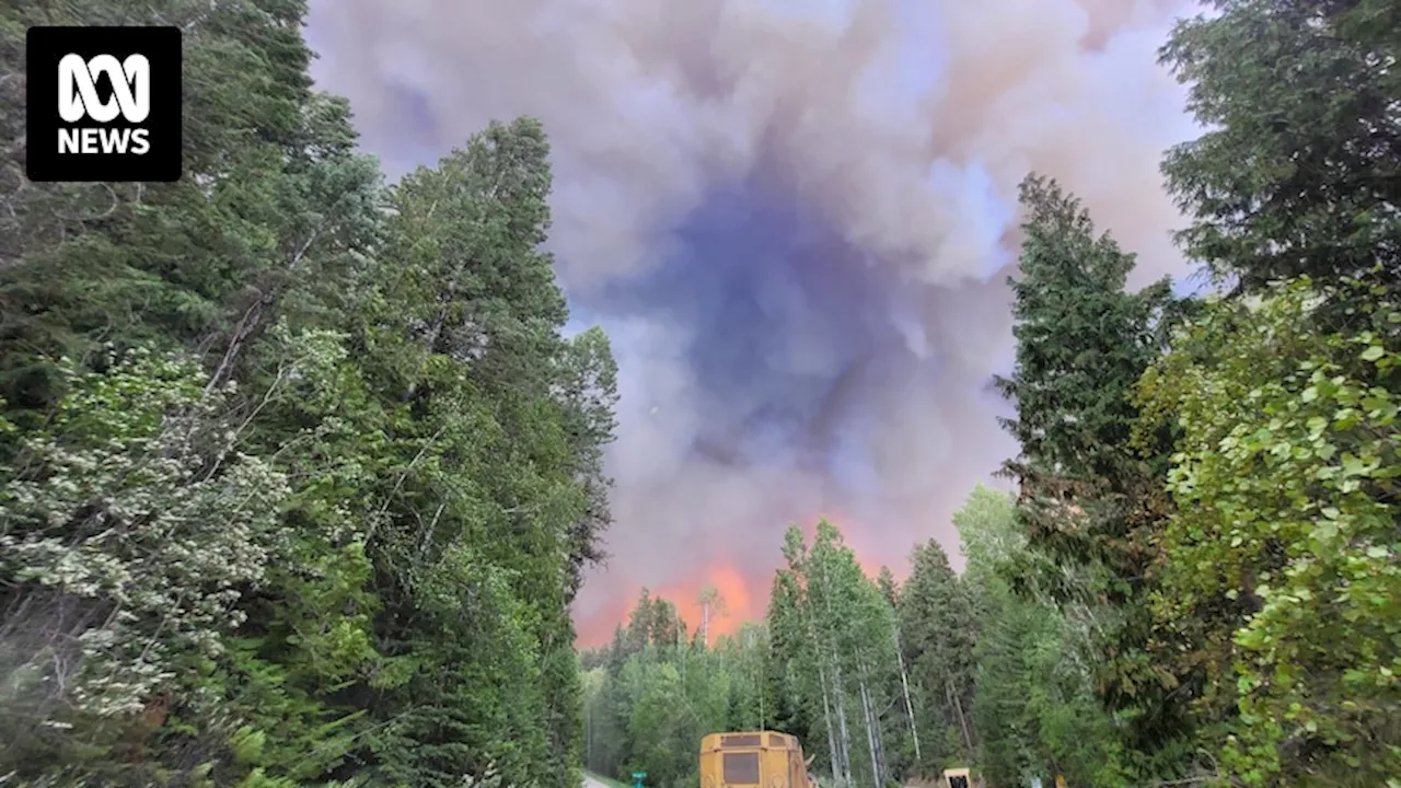 Queensland fire fighters answer Canada's call to battle Jasper National Park blazes