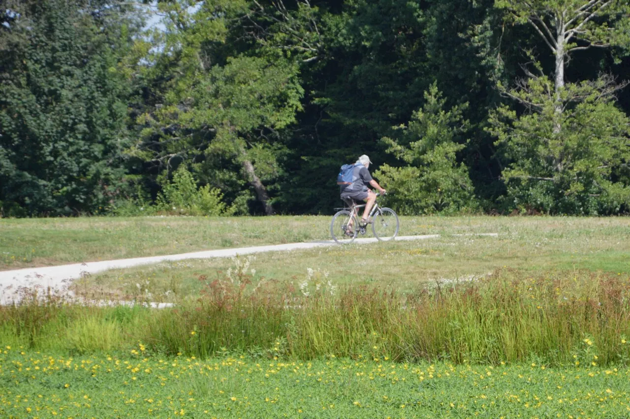 Rennes : 3 balades à vélo à faire dans la capitale bretonne et ses alentours