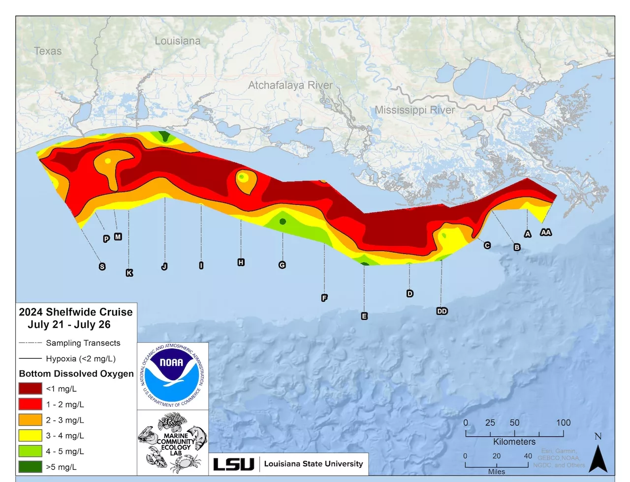 ‘Dead Zone’ in Gulf of Mexico the size of New Jersey this year, researchers find