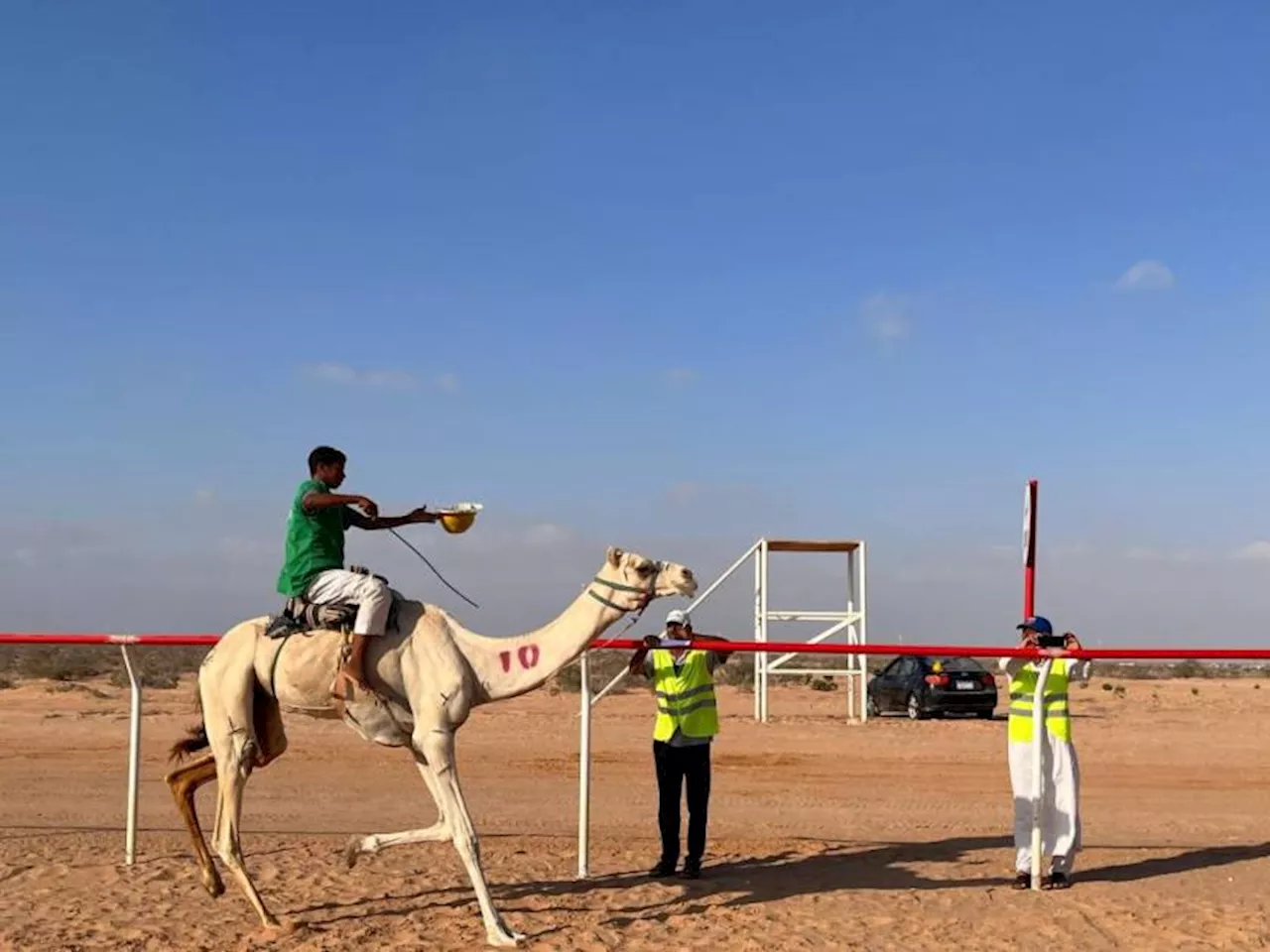 برعاية اتحاد الهجن الإماراتي.. ختام ناجح لموسم سباقات العلمين