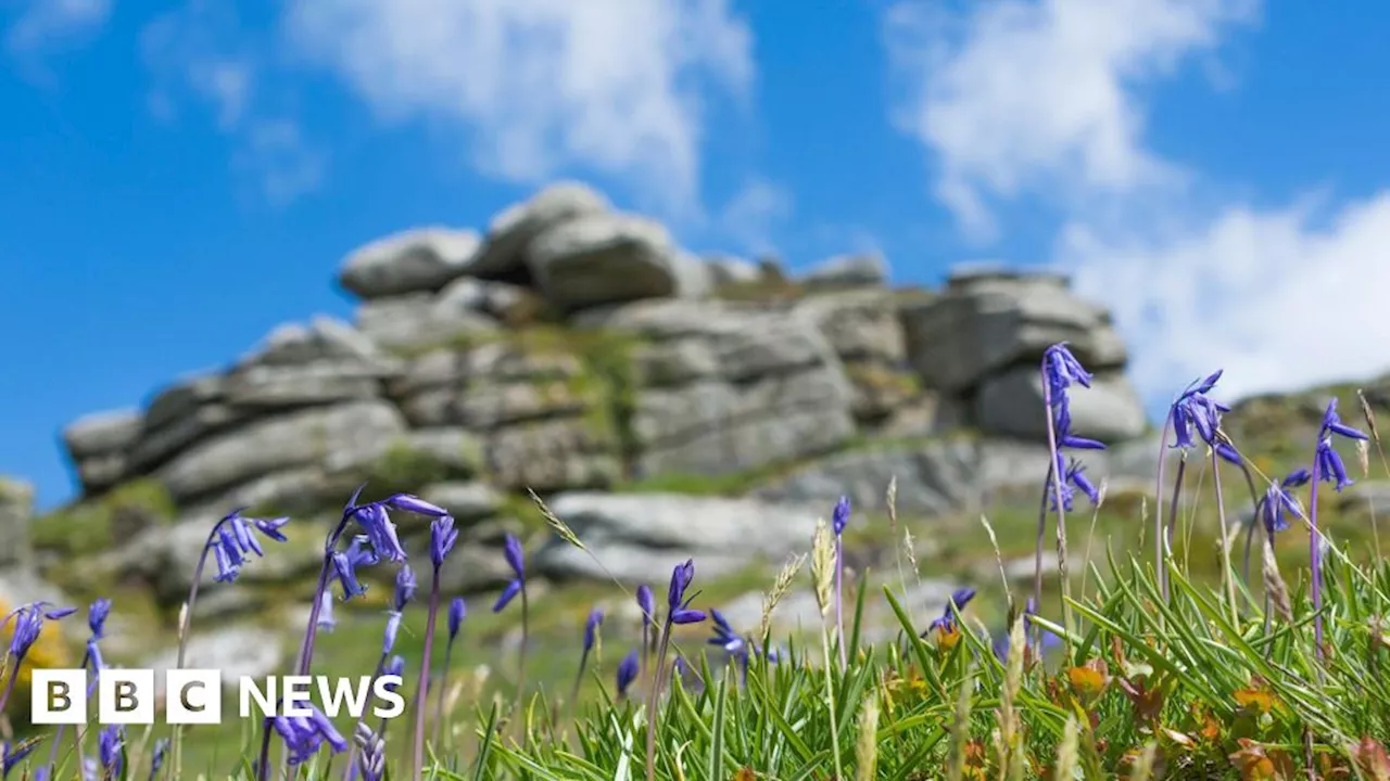 Cornwall Wildlife Trust awarded £265k grant