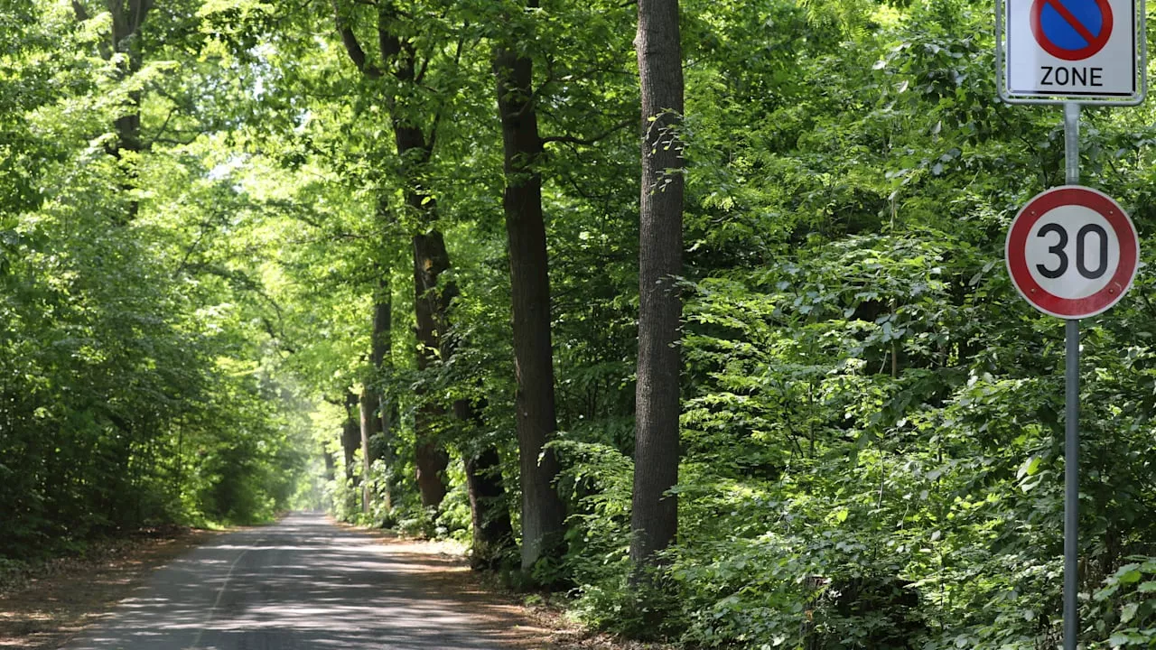 Dresden: Vorbestrafter Sexualstraftäter (26) vergewaltigt 16-Jährige