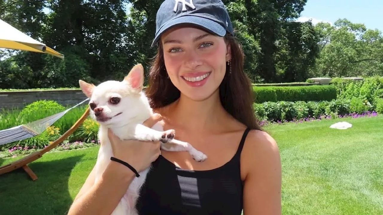 Nicola Peltz-Beckham klagt an: Hundefriseur hat meinen Chihuahua getötet!