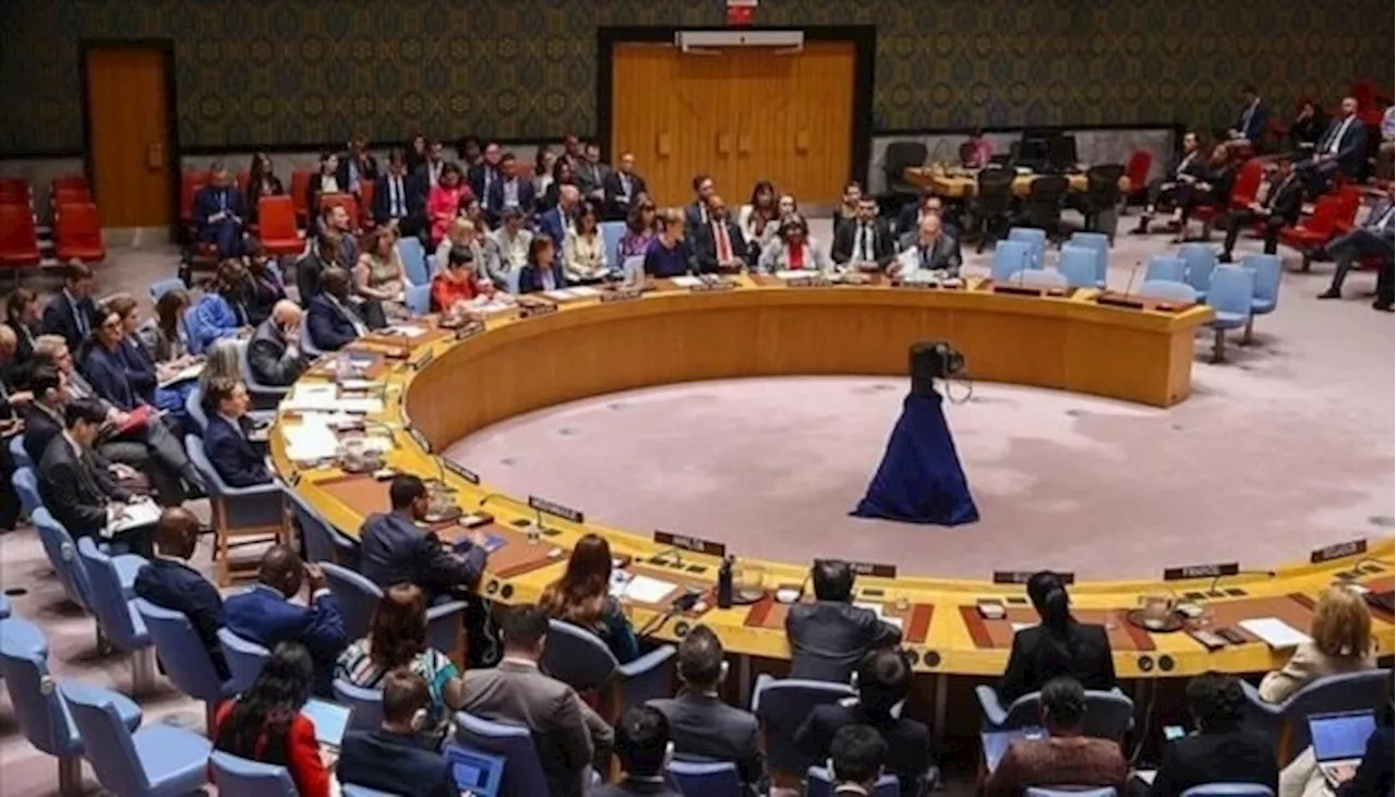 UNSC members condemn Israel’s assassination of Hamas leader