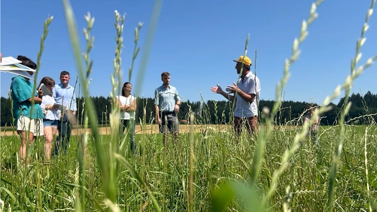 Grasernte in Traunstein: So früh wie nie, so viel wie selten