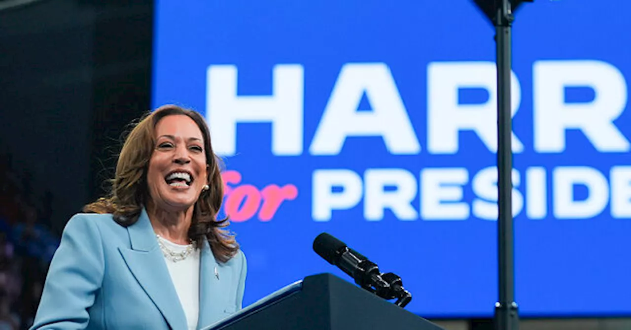 House Dem Campaign Chief Refuses to Use Kamala Harris’s Name 4 Times in Interview