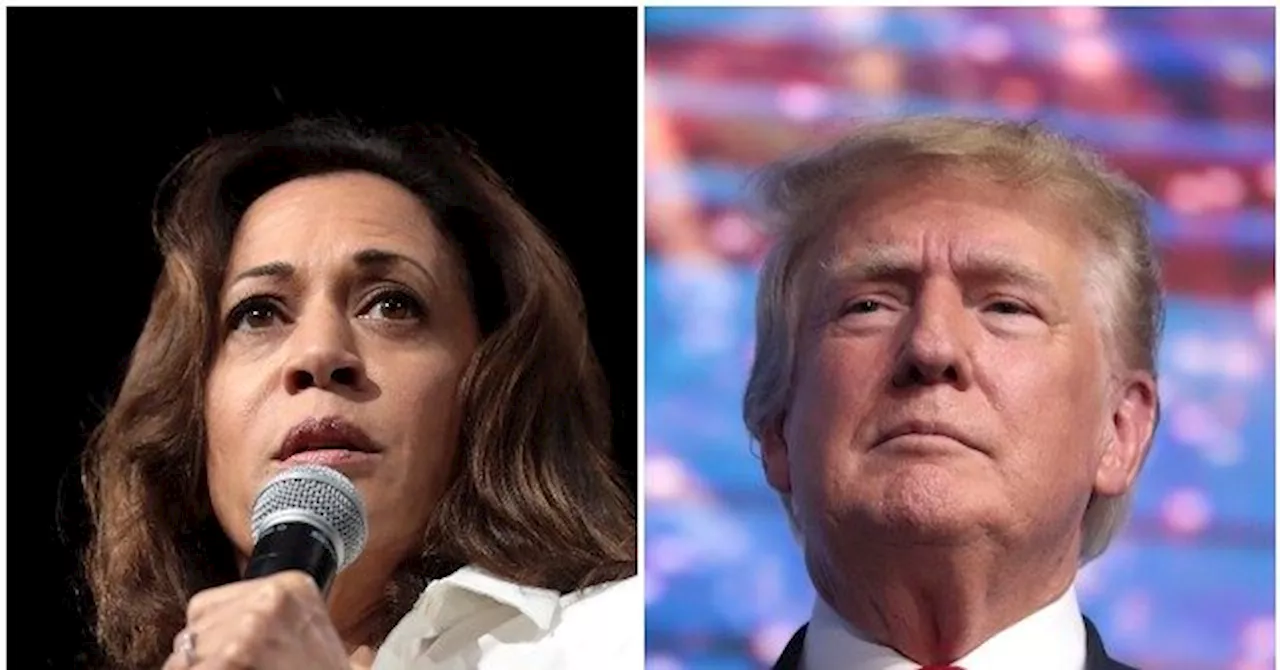 Poll: Kamala Harris Trails Donald Trump Nationally by Same Margin Joe Biden Did Before Debate