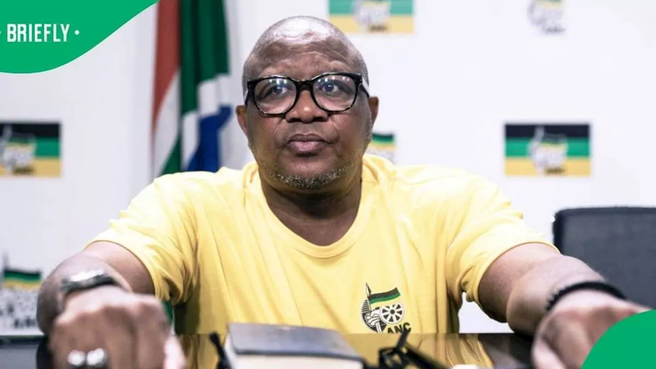 ANC’s Fikile Mbalula Calls on Home Affairs Minister To Clarify Chidimma Adetshina’s Citizenship