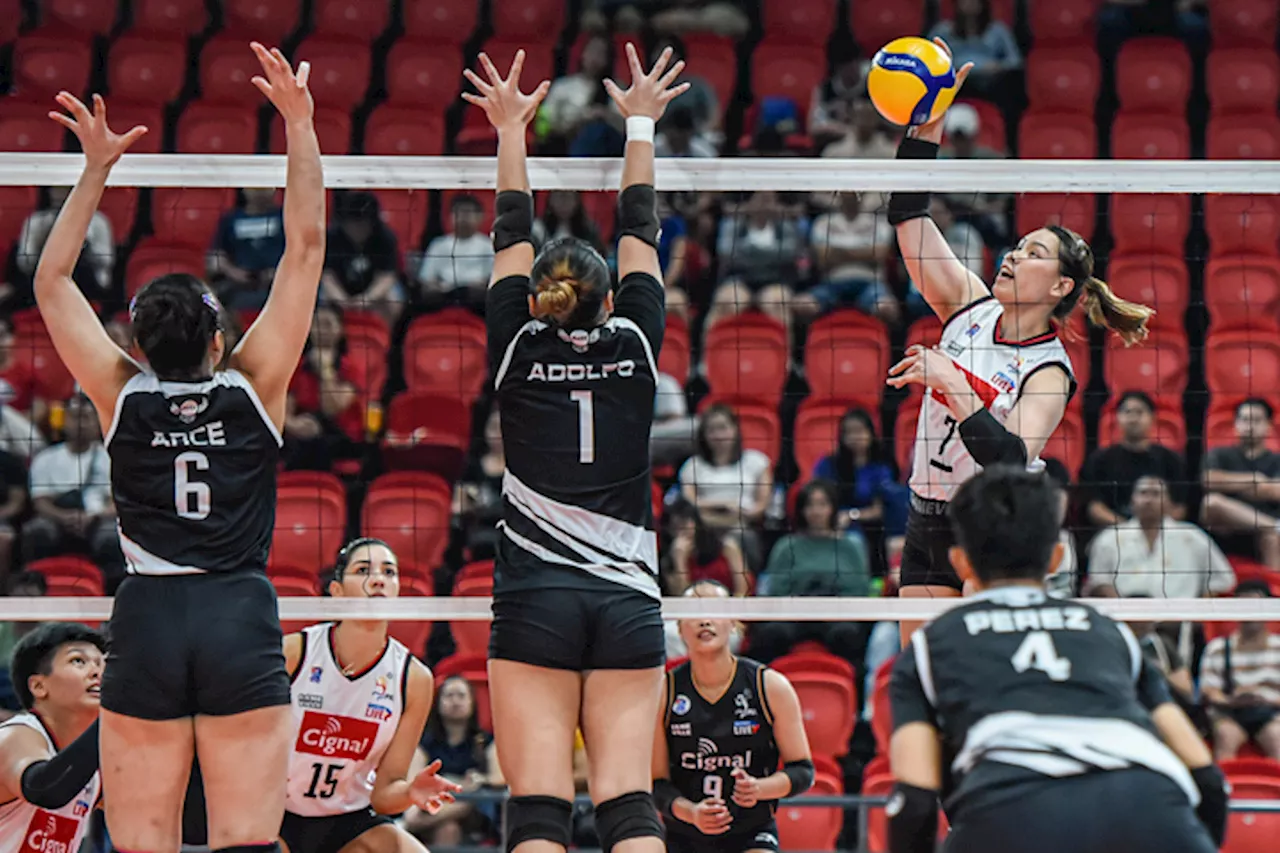 HD Spikers stretch streak to four, deal Angels third straight loss