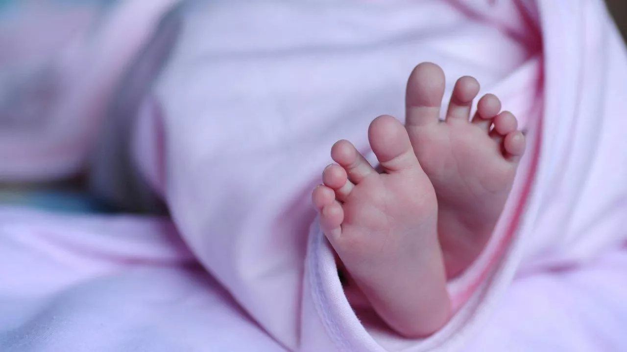 Fifth baby found abandoned in Delft this year