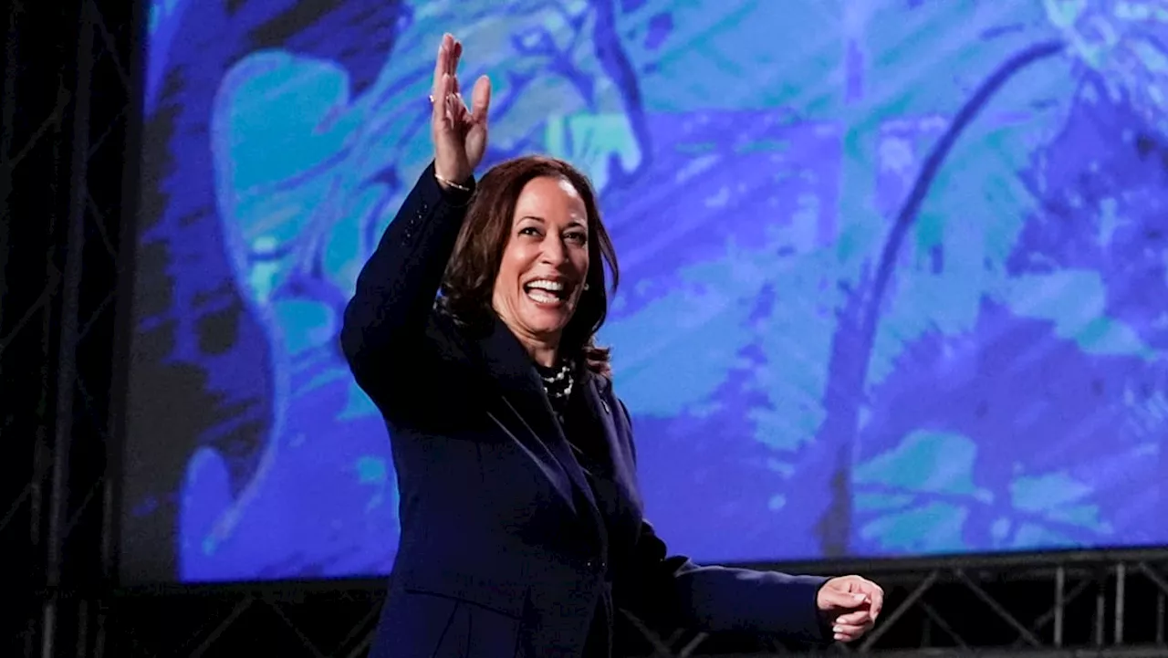 Harris unchallenged as Democrats vote for White House nominee