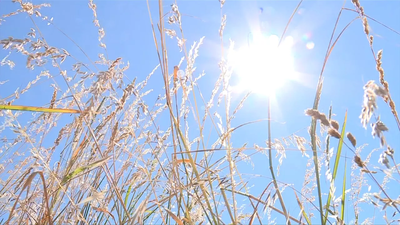 East Vancouver Island issued heat warning with temperatures reaching high 20s