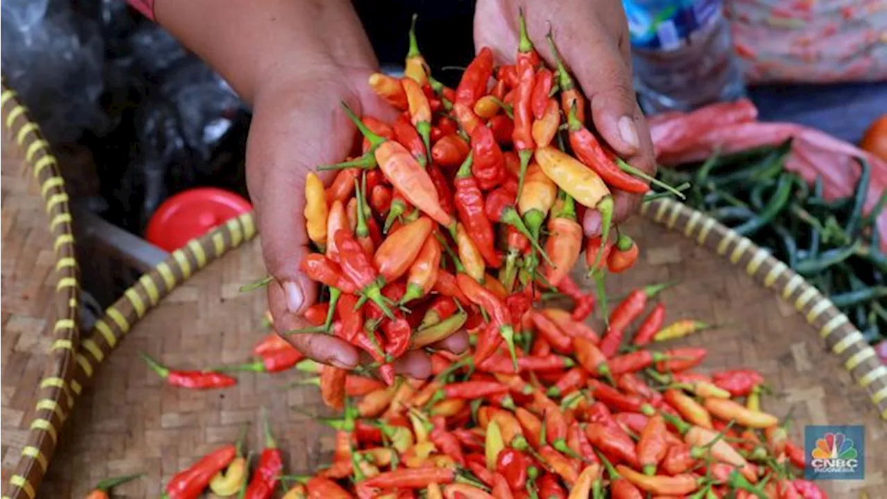 Harga Cabai Rawit Merah di Jakarta Rp100.000, Petani Banderol Segini