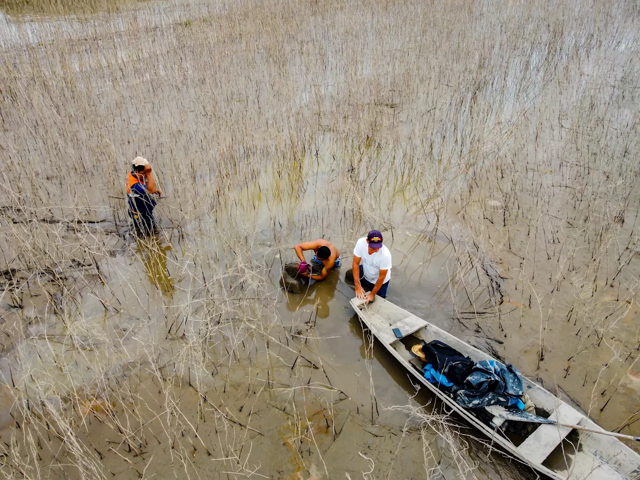 Pescador ficar três dias encalhado na lama após seca no Rio Solimões; veja vídeo do resgate