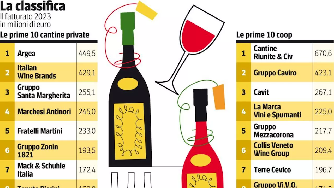 Vino, le 118 cantine italiane più virtuose: dai fatturati alla redditività, tutte le classifiche