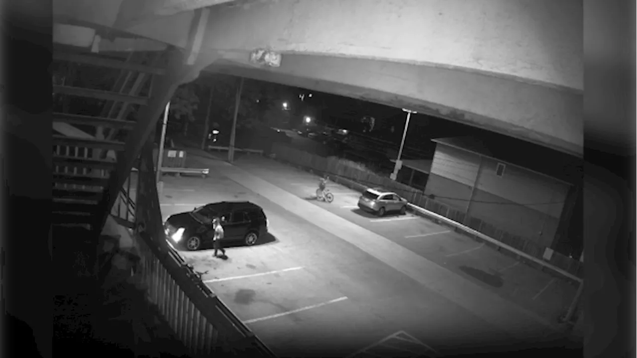 Hamilton shooting: Video shows man firing gun into air in downtown parking lot