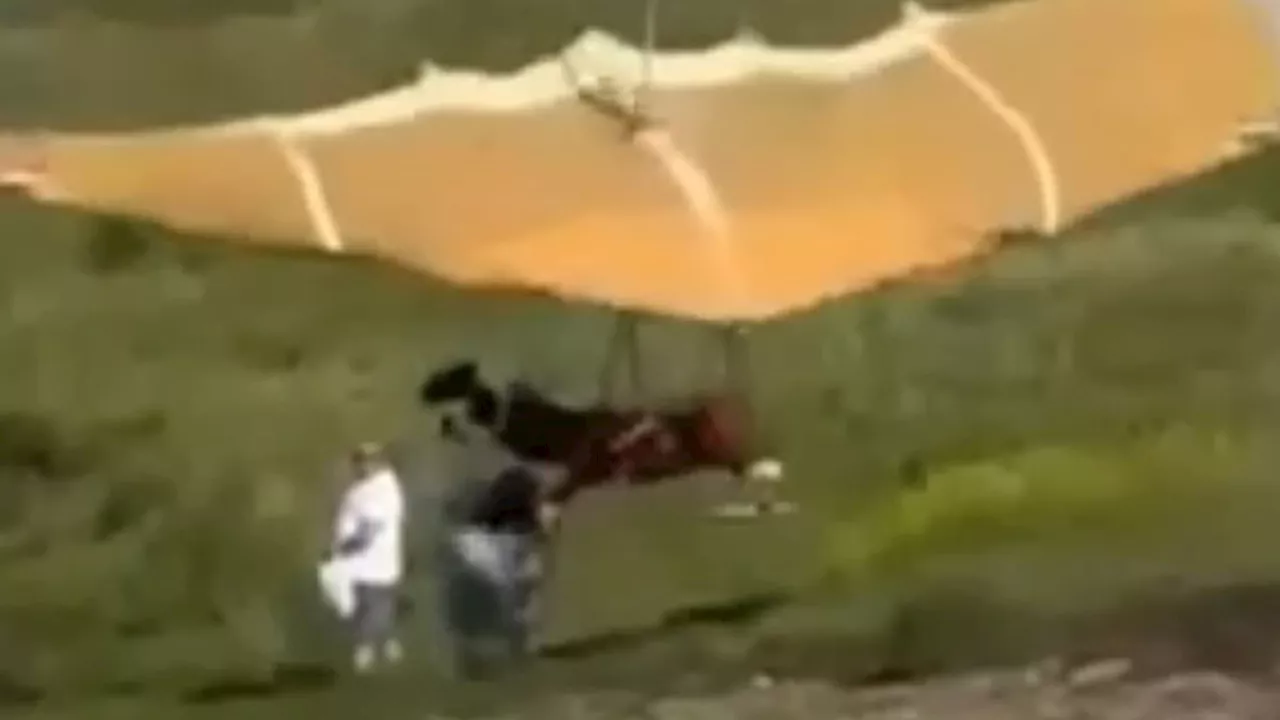 Paraglider wipes out hiker on his first flight using DIY kit in Russia