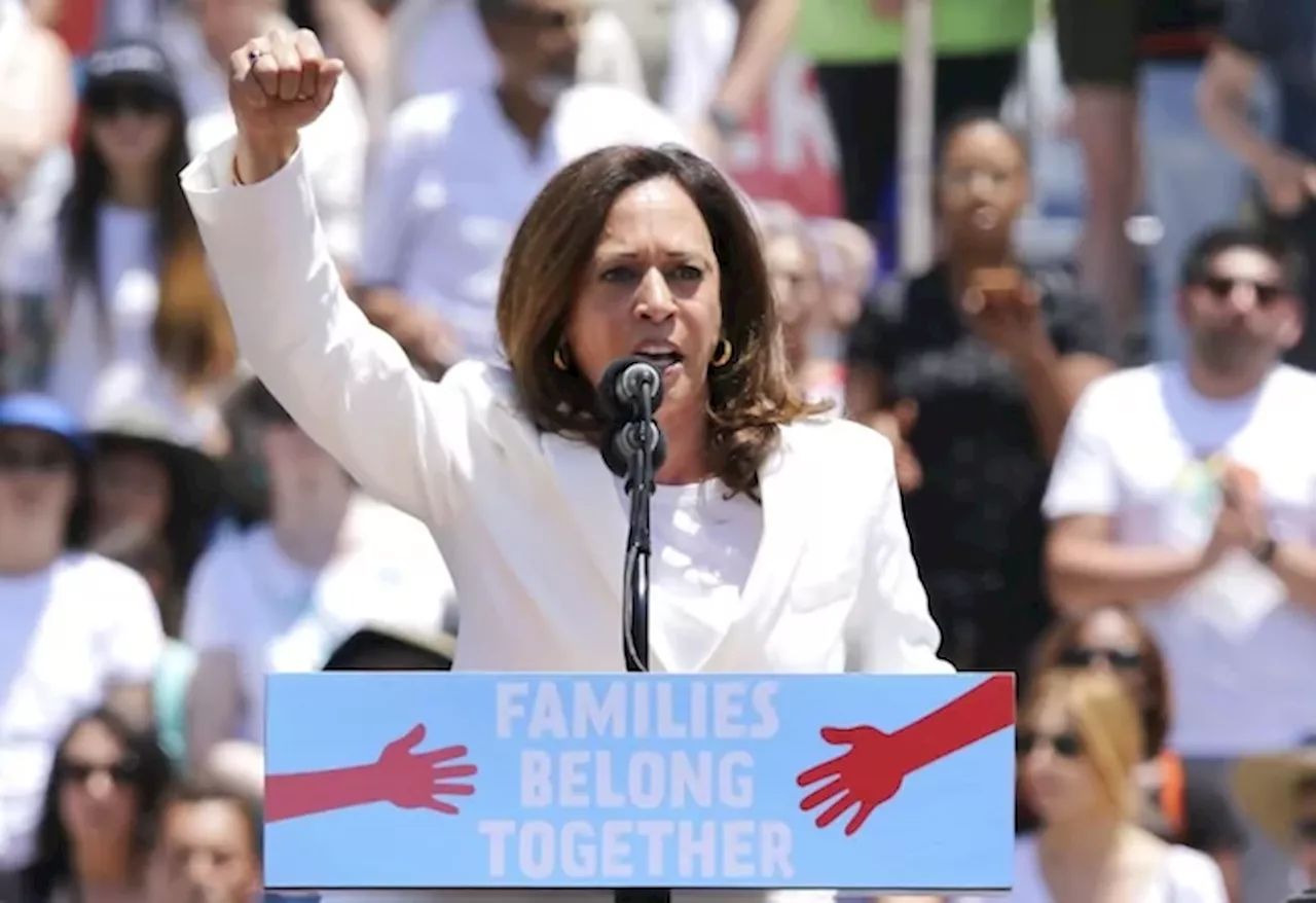 ‘Border czar’ Kamala Harris evolves on immigration to build case against Trump