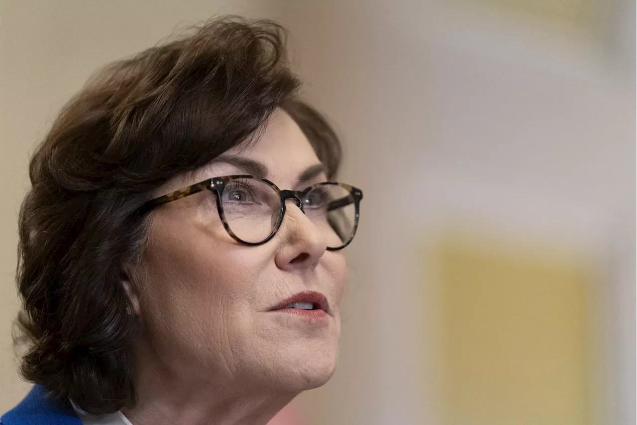 Democrats mock GOP for jet travel despite Jacky Rosen funding ‘premier’ private jet airport