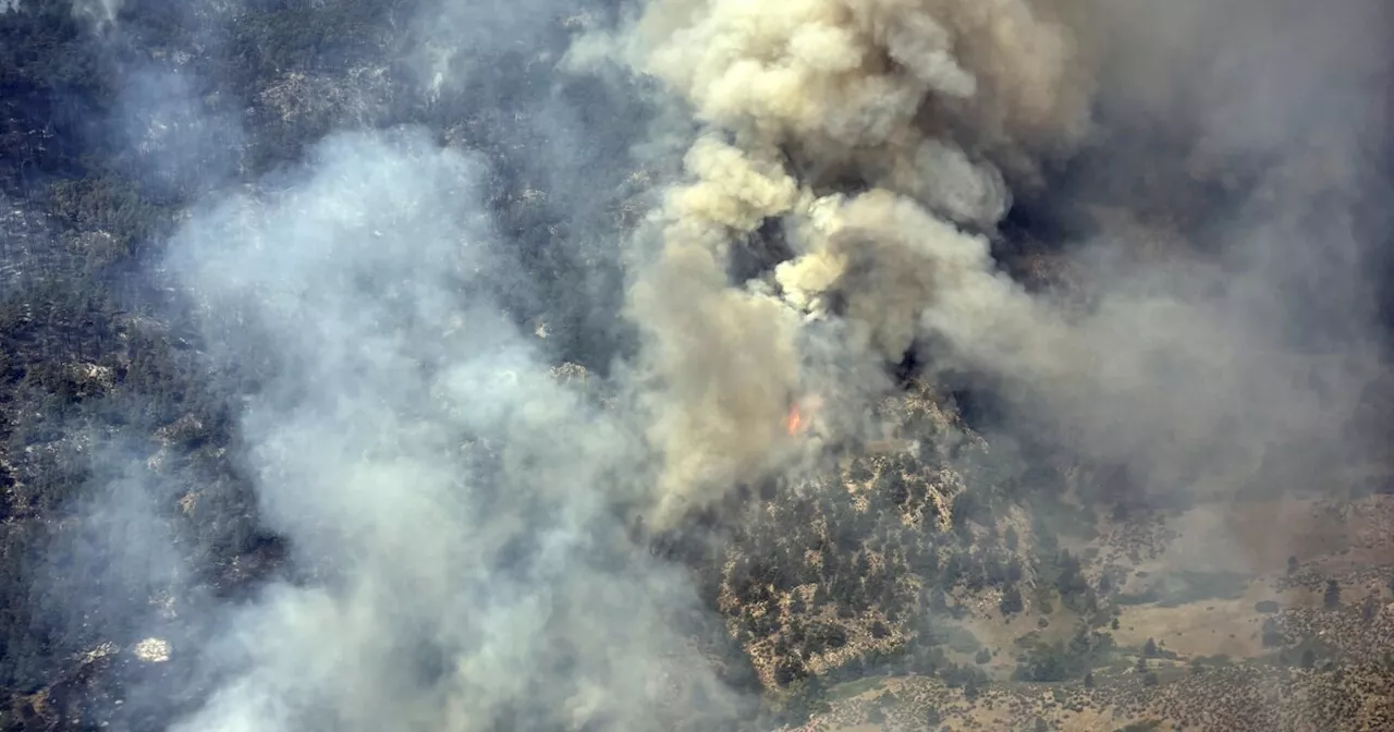 Alexander Mountain Fire: 'At least two dozen structures' damaged, destroyed in Larimer County fire