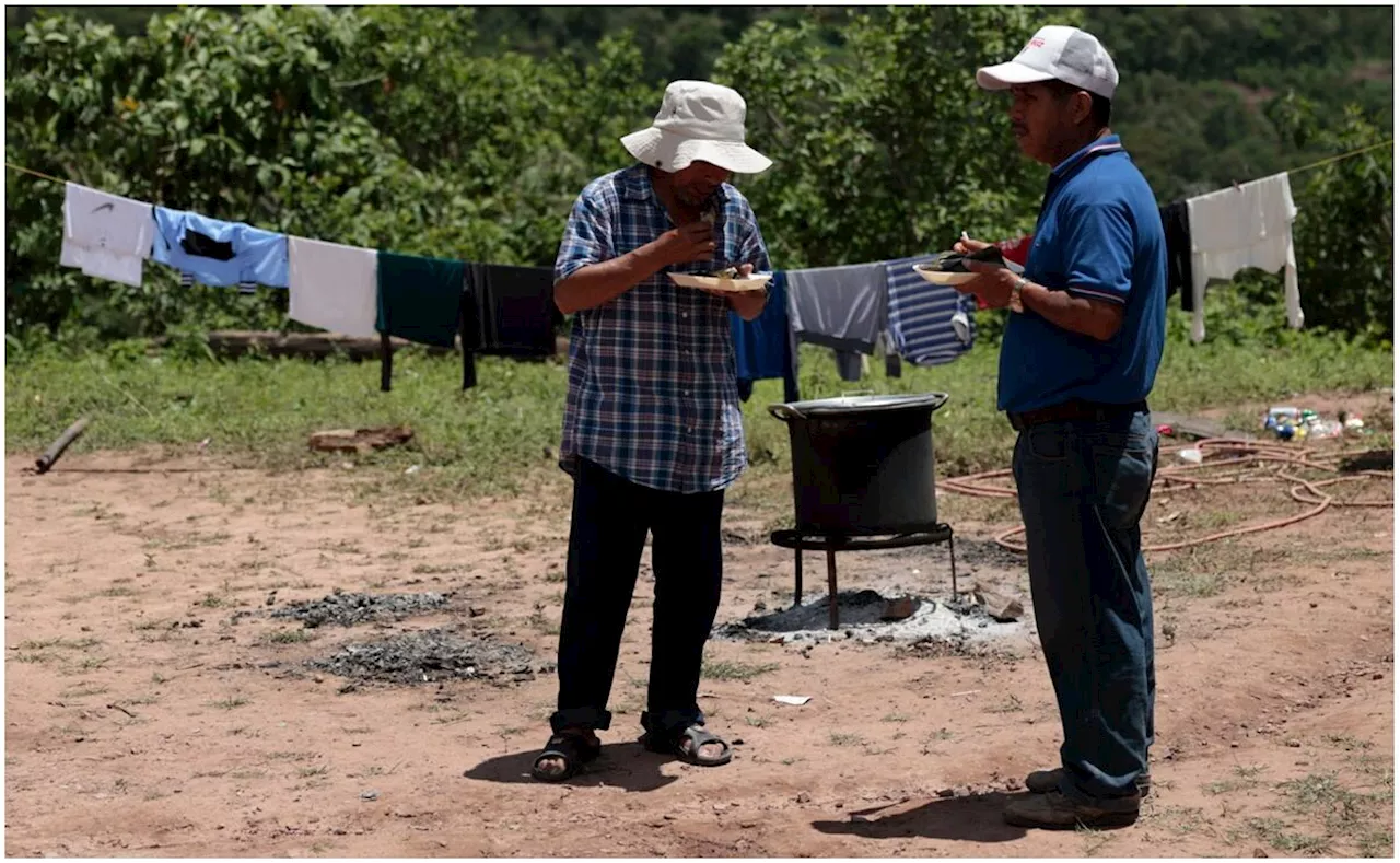 ONG's lanzan llamado urgente al gobierno mexicano por seguridad de miles de familias en Chiapas