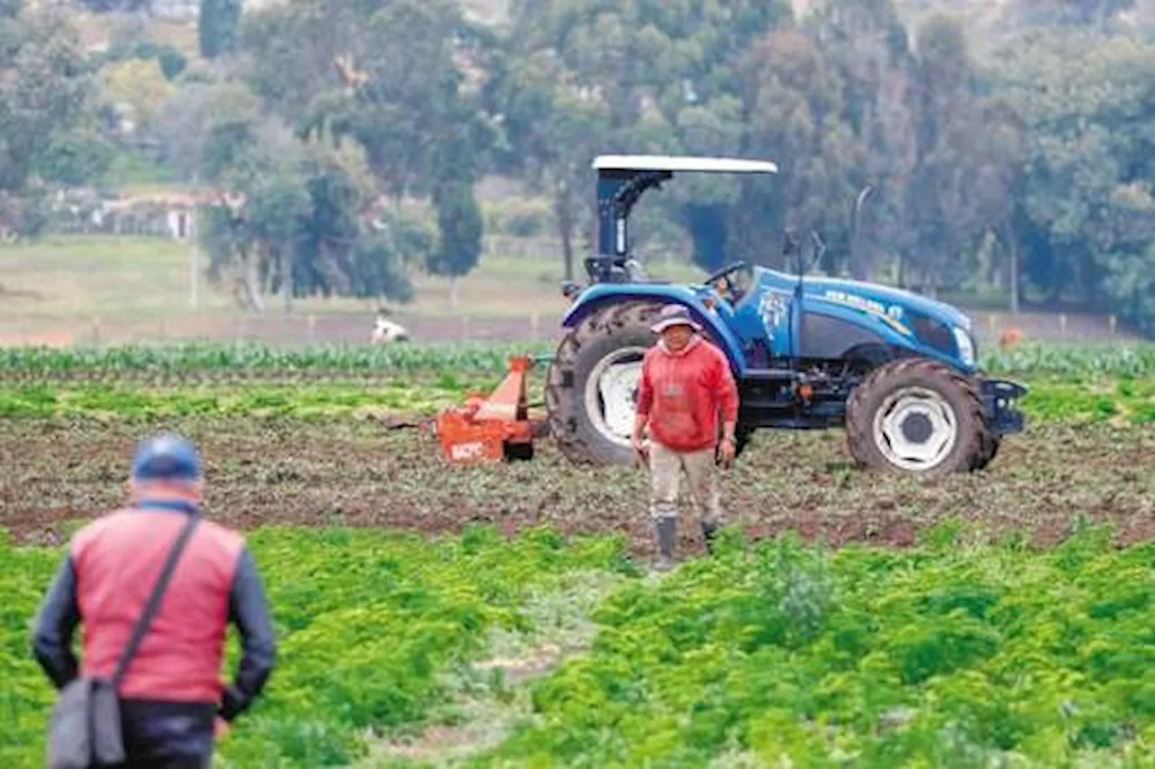 Insisten en proyecto de ley ordinaria para operar Jurisdicción Agraria