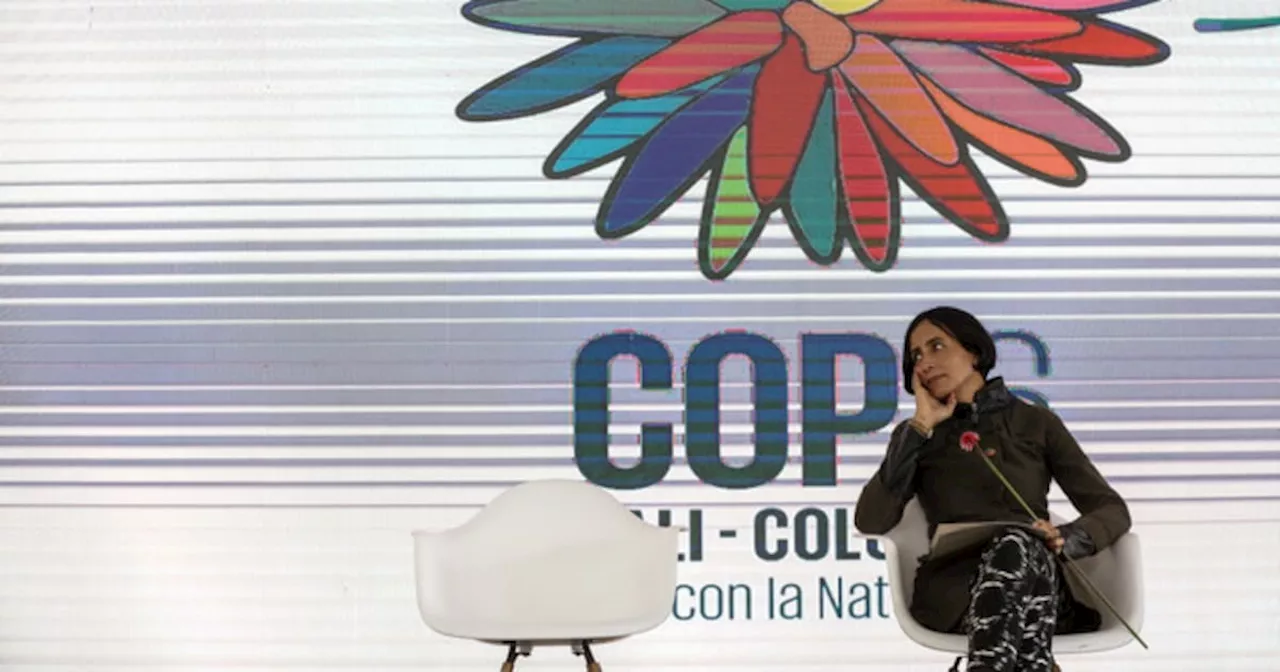 Gobierno solicitará al Congreso eliminar el IVA para gastos de la COP16