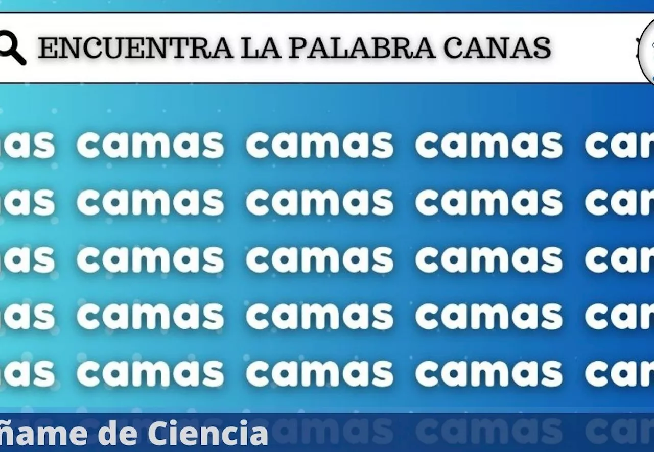 Test visual nivel EXPERTO: en 5 segundos ubica la palabra «CANAS» entre «CAMAS»