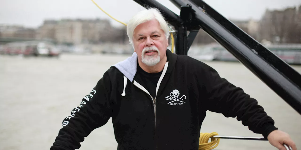 Paul Watson : le Japon demande au Groenland l'extradition du militant anti-chasse à la baleine