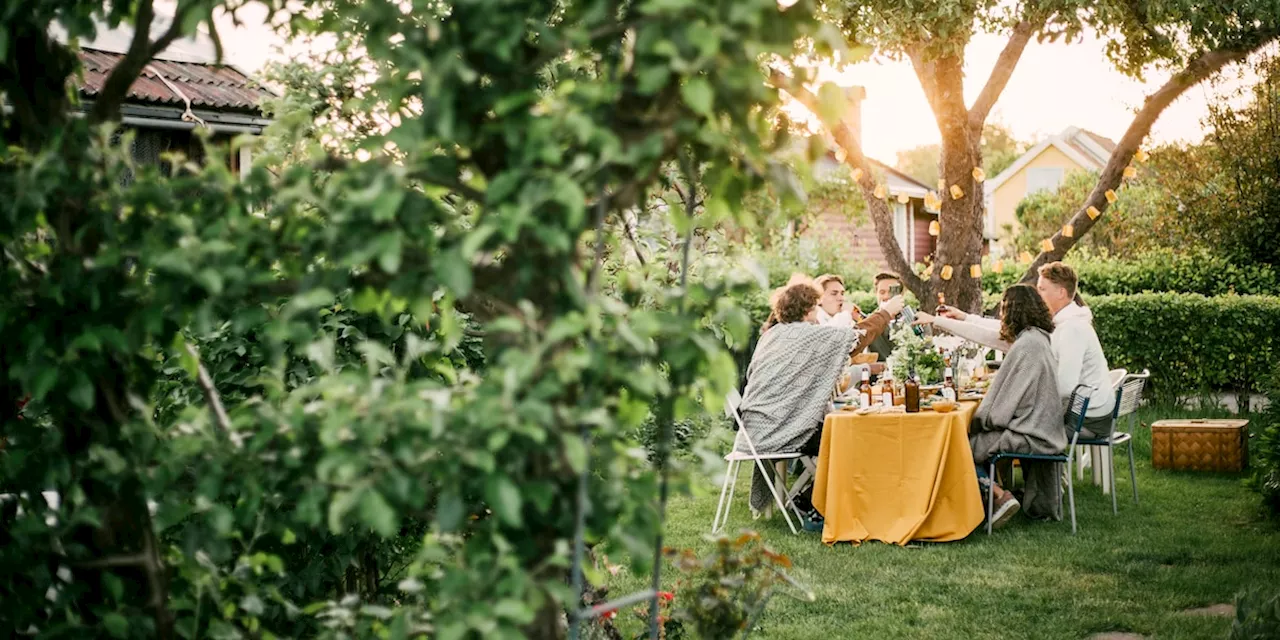 Bier, Wein, Aperol: Fünf Dinge zeigen, dass Sie es mit dem Alkohol übertreiben