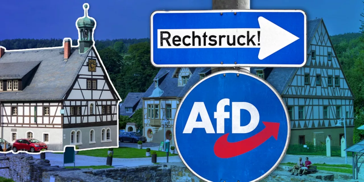 In dieser Stadt haben Bürger die AfD völlig umsonst gewählt