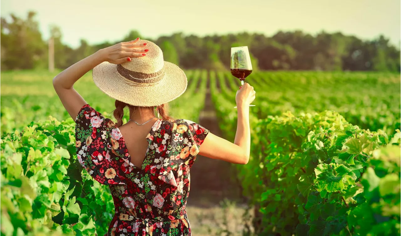 How AI-Embedded Cloud ERP Makes Your Wine Taste Better