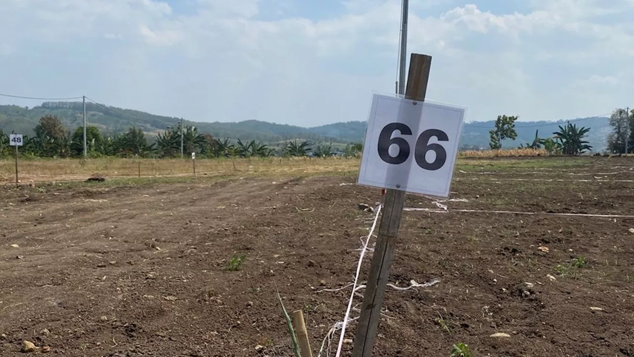 Warga Terdampak Bendungan Jragung Mendambakan Relokasi