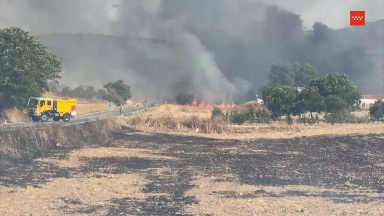 Incendio de Loeches, en Madrid: 60 personas desalojadas