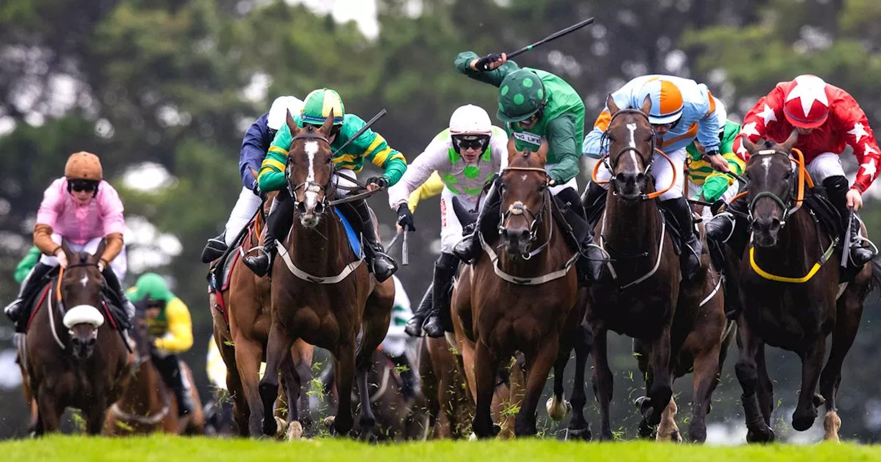 Galway Races Ladies Day tips: Robbie Power's selections for Thursday