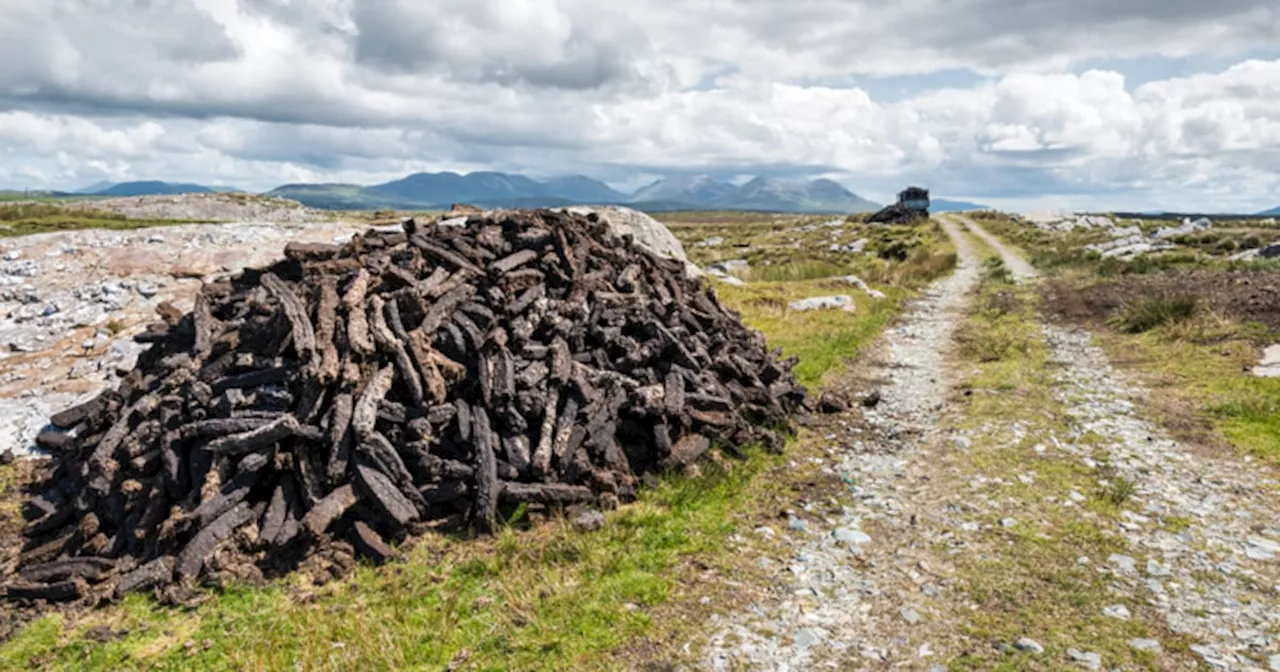 Appeal court finds ‘no legal basis’ for order preventing firm extracting peat from part of Midlands bogs