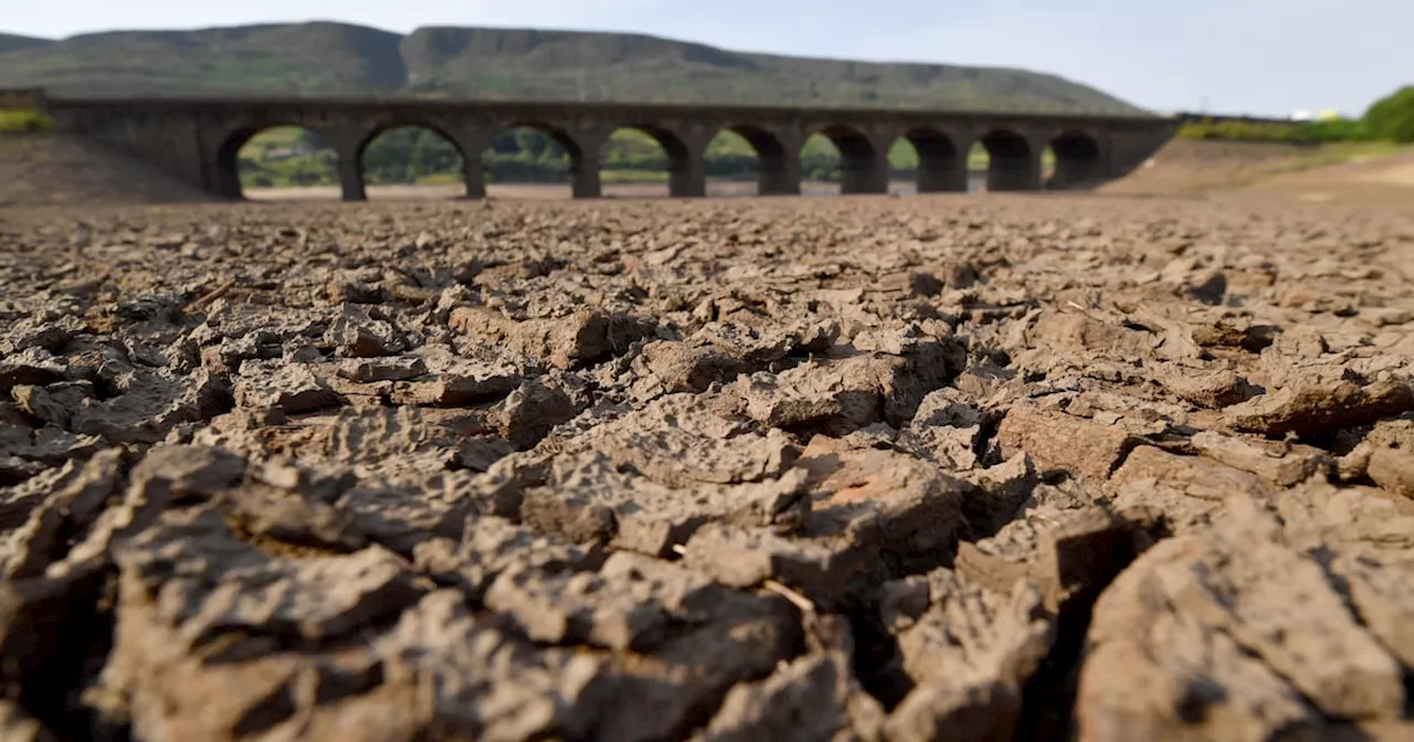 Survey shows 80 per cent of Irish people are ‘alarmed’ or ‘concerned’ about climate change