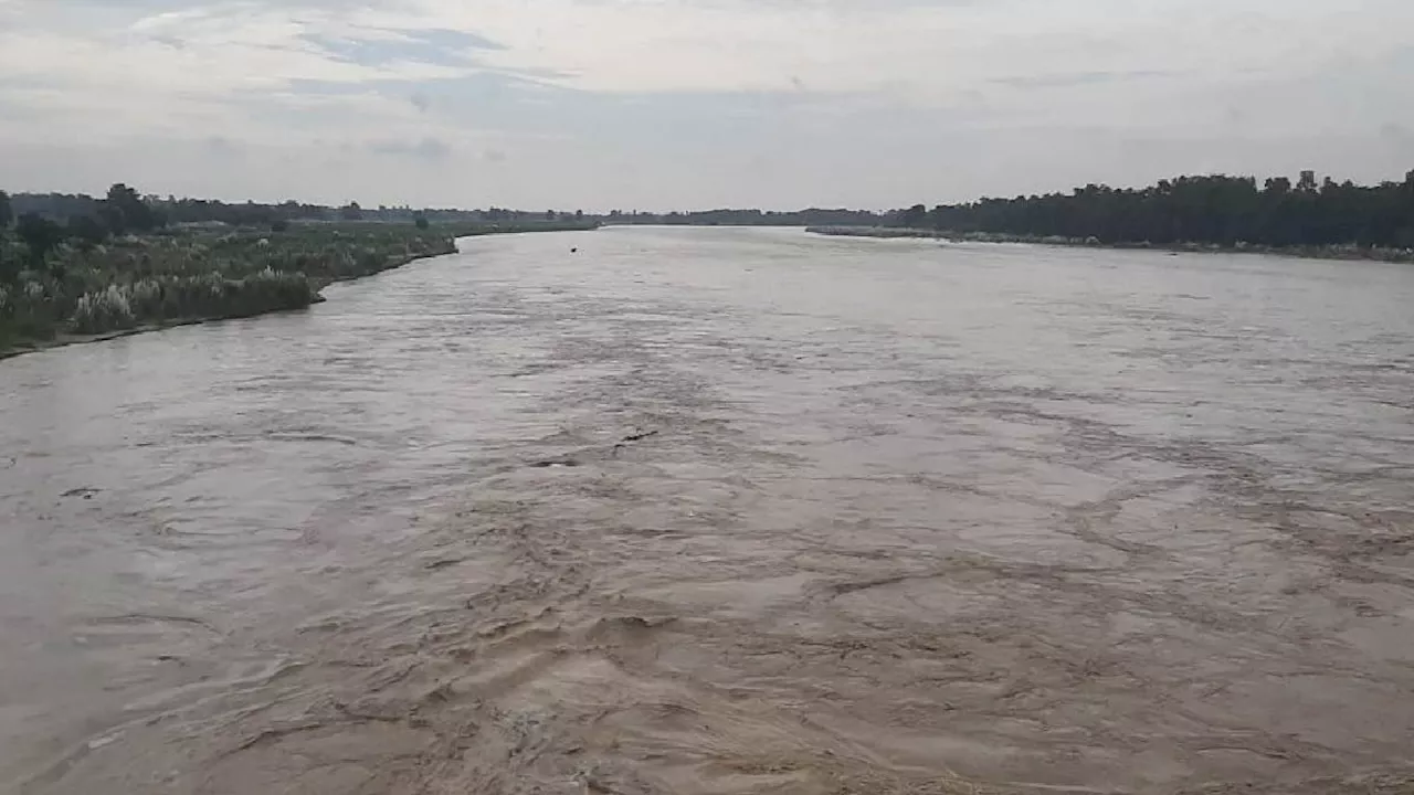 Bihar Flood News: शिवहर में उफान पर बागमती नदी, जलस्तर लाल निशान के पार; लोगों के बीच फैली दहशत