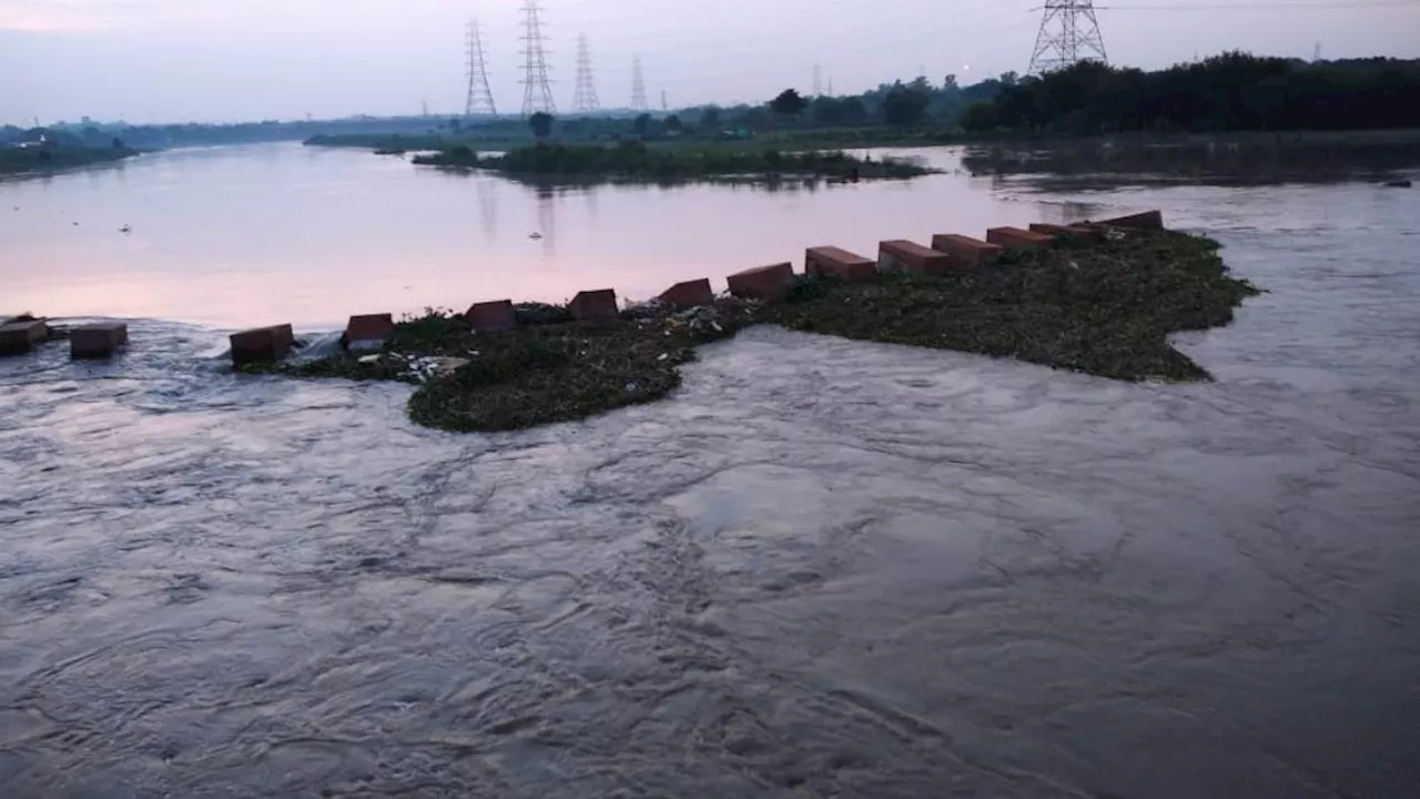 Delhi Rains: बारिश में भी यमुना प्रदूषित, भाजपा ने दिल्ली सरकार को ठहराया जिम्मेदार